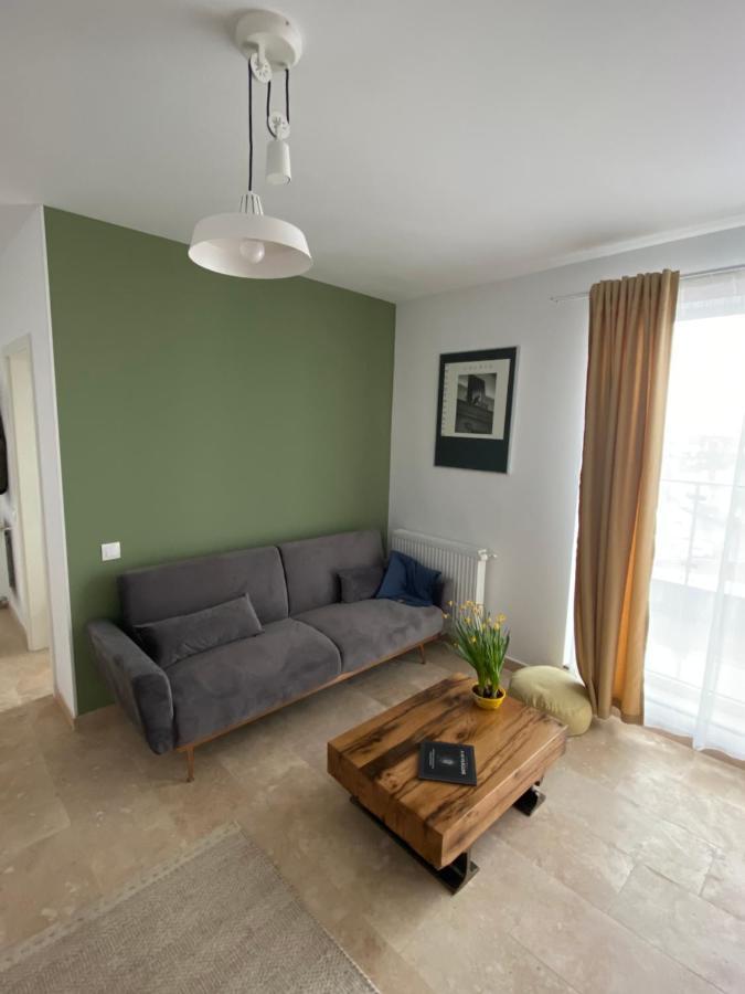 Helga'S Place Premium 1 Bedroom Condo Клуж-Напока Екстериор снимка